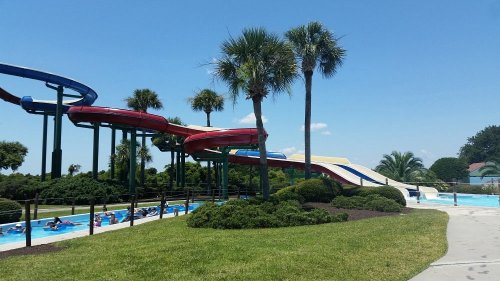 Colorful water slides twist above a pool surrounded by palm trees and lush greenery under a clear blue sky.