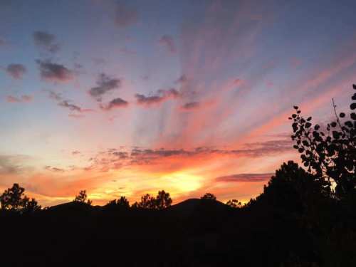 A vibrant sunset with pink and orange hues, silhouetted trees, and distant mountains against a colorful sky.