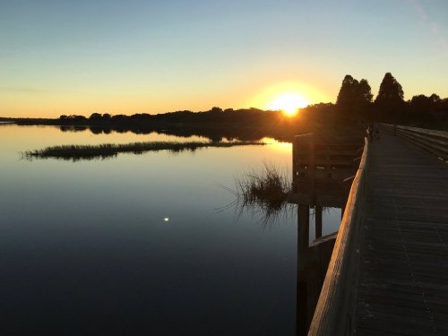 A serene sunset over a calm lake, with a wooden pier and silhouettes of trees in the background.