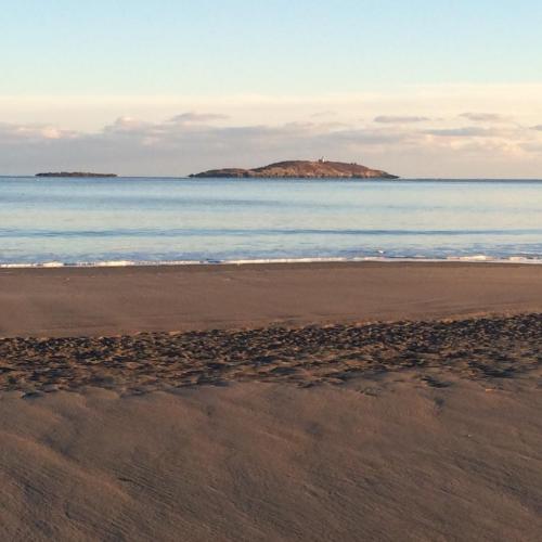 A serene beach scene with gentle waves lapping at the shore and a distant island under a clear sky.