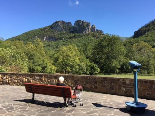 A person sits on a bench overlooking a scenic mountain view, with trees and a viewing scope nearby.