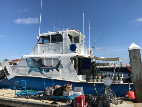 A fishing boat docked at a marina, featuring a shark design on its side and fishing gear on the deck.