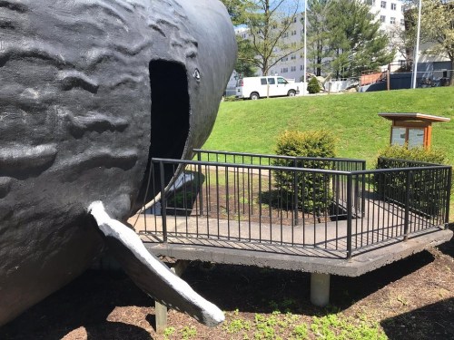 A large whale sculpture with an entrance, surrounded by greenery and a railing for visitors.