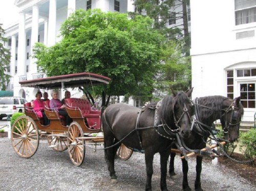 A horse-drawn carriage with passengers parked in front of a large white building, surrounded by greenery.