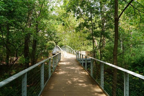 A wooden bridge surrounded by lush green trees, leading to a curved metal archway in a serene forest setting.