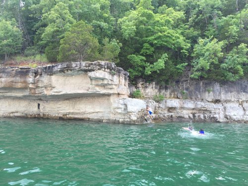 A rocky shoreline with lush green trees, featuring two people swimming in the clear water below.
