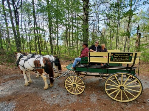 A horse-drawn carriage with two women seated, surrounded by trees on a gravel path.