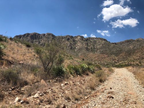 A rocky trail leads through dry grass and shrubs, with a mountainous landscape and blue sky in the background.
