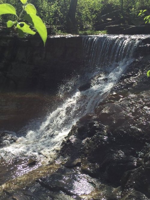 A small waterfall cascades over rocks, surrounded by lush greenery and sunlight filtering through the trees.