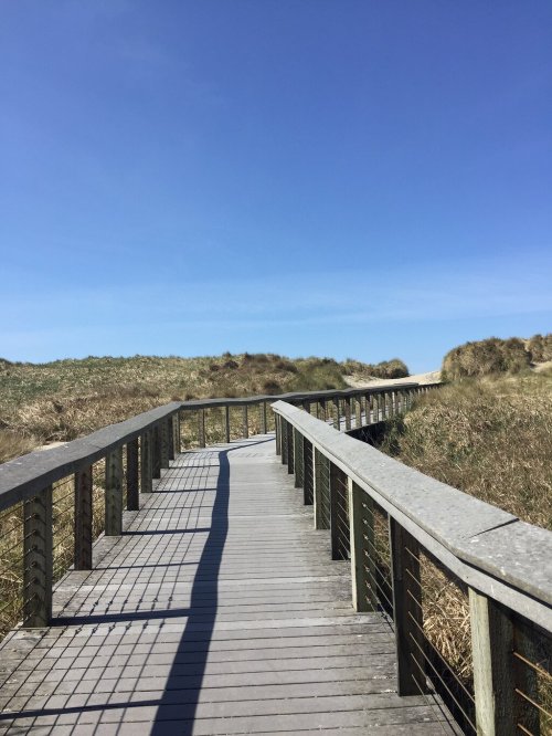 A wooden boardwalk leads through grassy dunes under a clear blue sky.