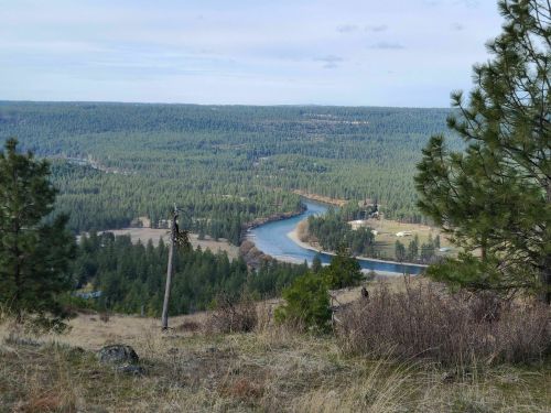 A scenic view of a winding river surrounded by lush green forests and rolling hills under a cloudy sky.