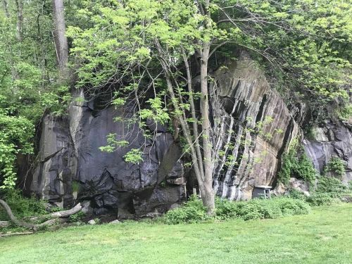 A large rock formation partially covered by trees and greenery in a natural setting.