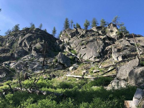 Rocky hillside with scattered trees and greenery under a clear blue sky.