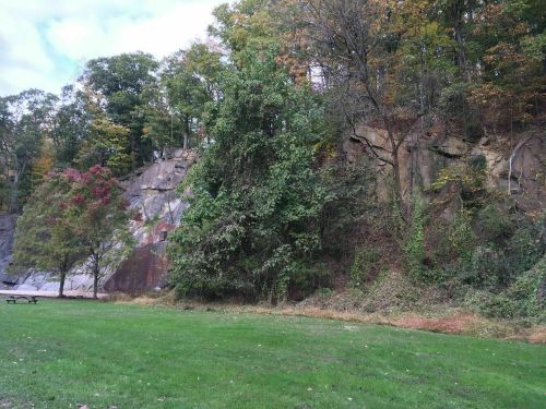 A grassy area with trees and a rocky cliff in the background, showcasing autumn foliage.