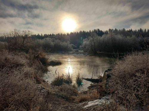 A serene river scene at sunrise, surrounded by frosty vegetation and mist rising from the water.