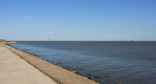 A calm waterfront scene with a clear blue sky, a concrete path, and distant ships on the horizon.