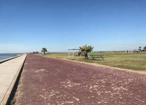 A scenic view of a brick pathway along a waterfront, with palm trees and picnic areas under a clear blue sky.