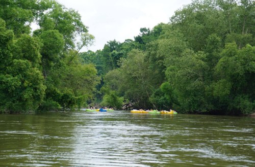 A serene river scene surrounded by lush greenery, with kayakers paddling in the distance.