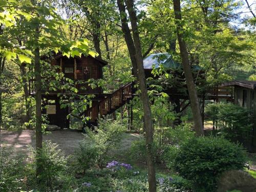 A wooden treehouse nestled among lush green trees and plants, with a staircase leading up to it.