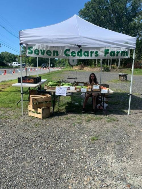 A woman sits at a market stall under a tent labeled "Seven Cedars Farm," surrounded by fresh produce and crates.
