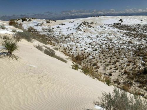 A sandy landscape with sparse vegetation and rolling dunes under a clear blue sky.