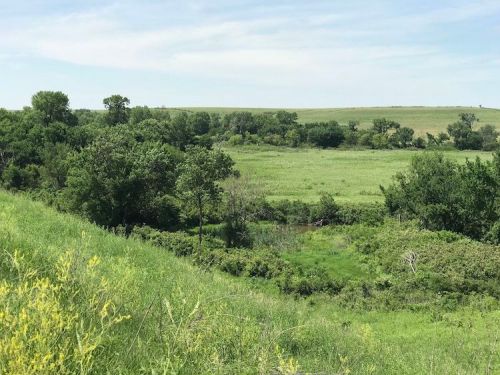 Lush green landscape with rolling hills, trees, and a small stream under a clear blue sky.