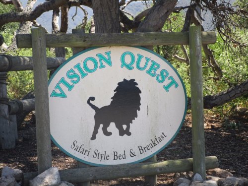 Sign for "Vision Quest" featuring a lion silhouette, advertising a safari-style bed and breakfast.