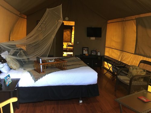 A cozy tent interior featuring a bed, seating area, and mosquito netting, with warm lighting and wooden floors.