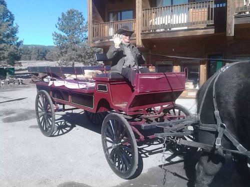 A person waves from a horse-drawn carriage parked near a wooden building and trees.