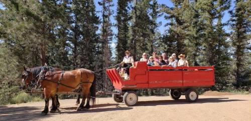 A horse-drawn wagon with several people seated, surrounded by tall trees in a natural setting.