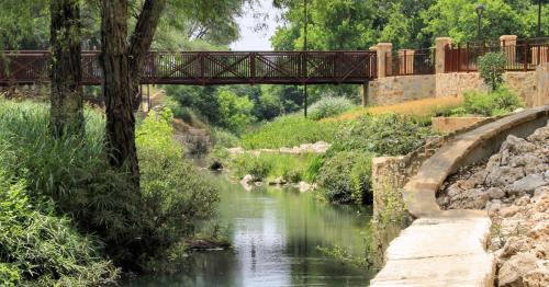 A serene river flows through lush greenery, with a wooden bridge crossing overhead in a peaceful natural setting.