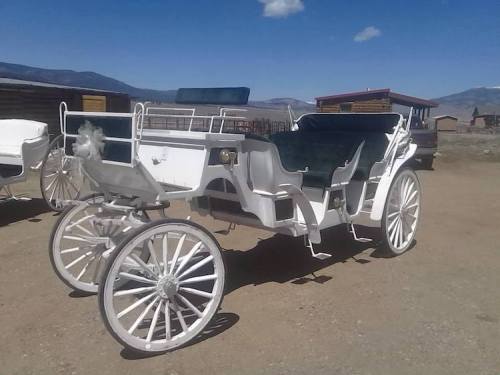 A white horse-drawn carriage with large wheels parked on a dirt surface, set against a blue sky and distant mountains.