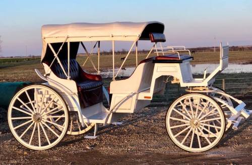 A white horse-drawn carriage with a canopy, parked on gravel near a field at sunset.
