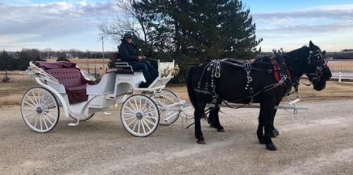 A horse-drawn carriage with a driver sits on a gravel path, surrounded by open fields and trees.