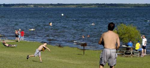 A sunny lakeside scene with people swimming, playing, and relaxing on the grass and by the water.
