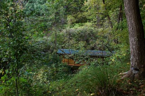 A wooden bridge with a metal roof nestled among lush green trees and foliage in a serene forest setting.