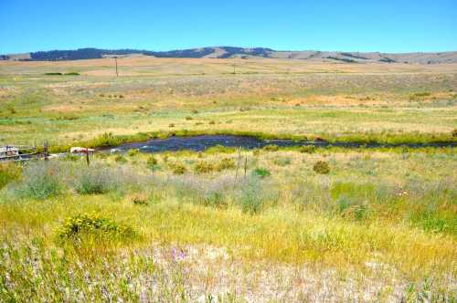 A serene landscape featuring a grassy field, a small stream, and distant hills under a clear blue sky.