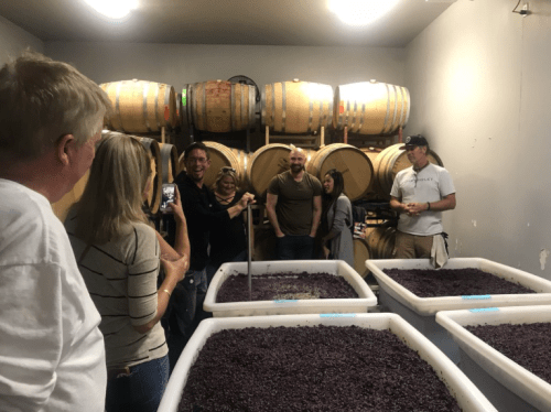 Group of people in a winery, smiling and interacting near large bins of crushed grapes and wooden barrels in the background.