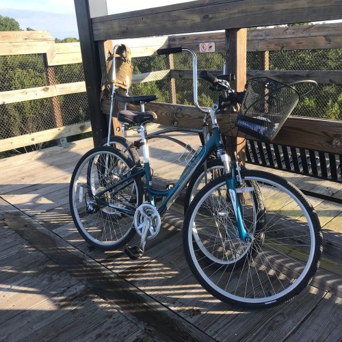 A blue bicycle with a basket parked on a wooden deck, with a shoe hanging on the railing in the background.