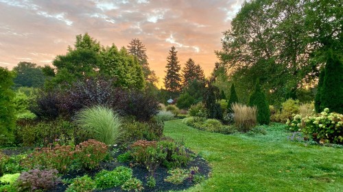 A lush garden at sunset, featuring diverse plants and trees against a colorful sky.