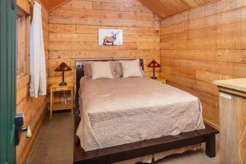 Cozy wooden cabin interior featuring a double bed, bedside lamps, and rustic decor.