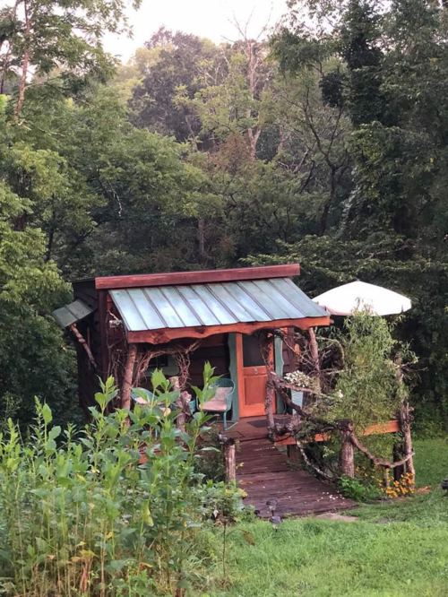 A rustic cabin nestled among trees, featuring a metal roof and a small porch with greenery surrounding it.