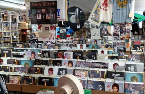 A vibrant record store display featuring numerous David Bowie albums and memorabilia, with colorful decorations and posters.