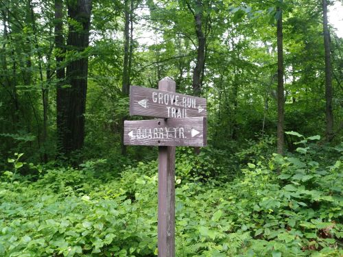 Wooden signpost in a lush green forest, indicating directions for Grove Hill Trail and Quarter Trail.