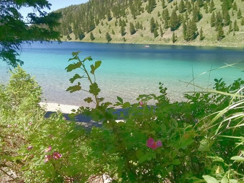 A serene lake surrounded by green hills, with clear turquoise water and pink flowers in the foreground.