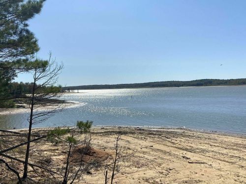 A serene lakeside view with sparkling water, sandy shore, and trees under a clear blue sky.