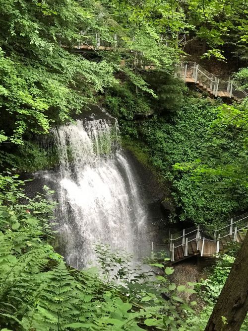 A serene waterfall cascades down a rocky cliff, surrounded by lush green foliage and a wooden walkway.
