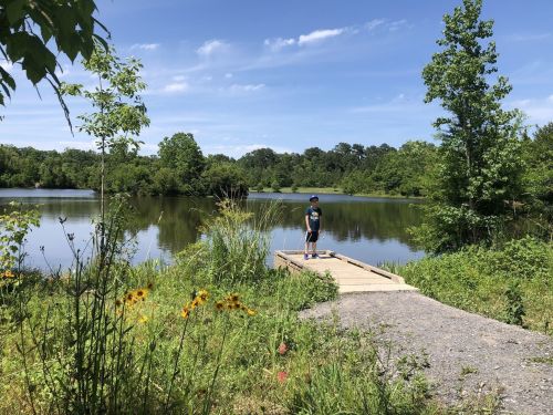 A boy stands on a wooden dock by a calm lake, surrounded by greenery and wildflowers under a clear blue sky.