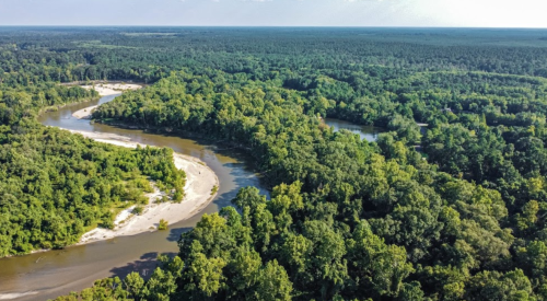 Aerial view of a winding river surrounded by lush green forests and trees under a clear blue sky.