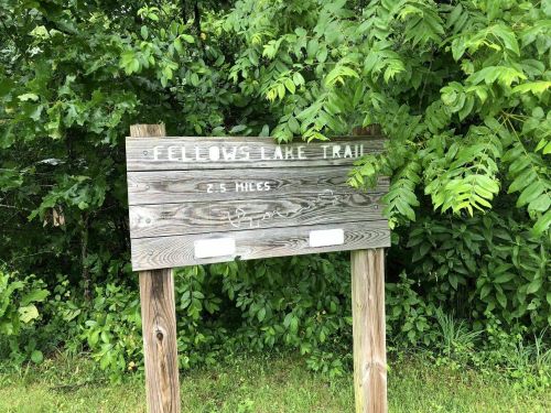 Wooden sign for Cellows Lake Trail, indicating a distance of 2.5 miles, surrounded by lush green foliage.
